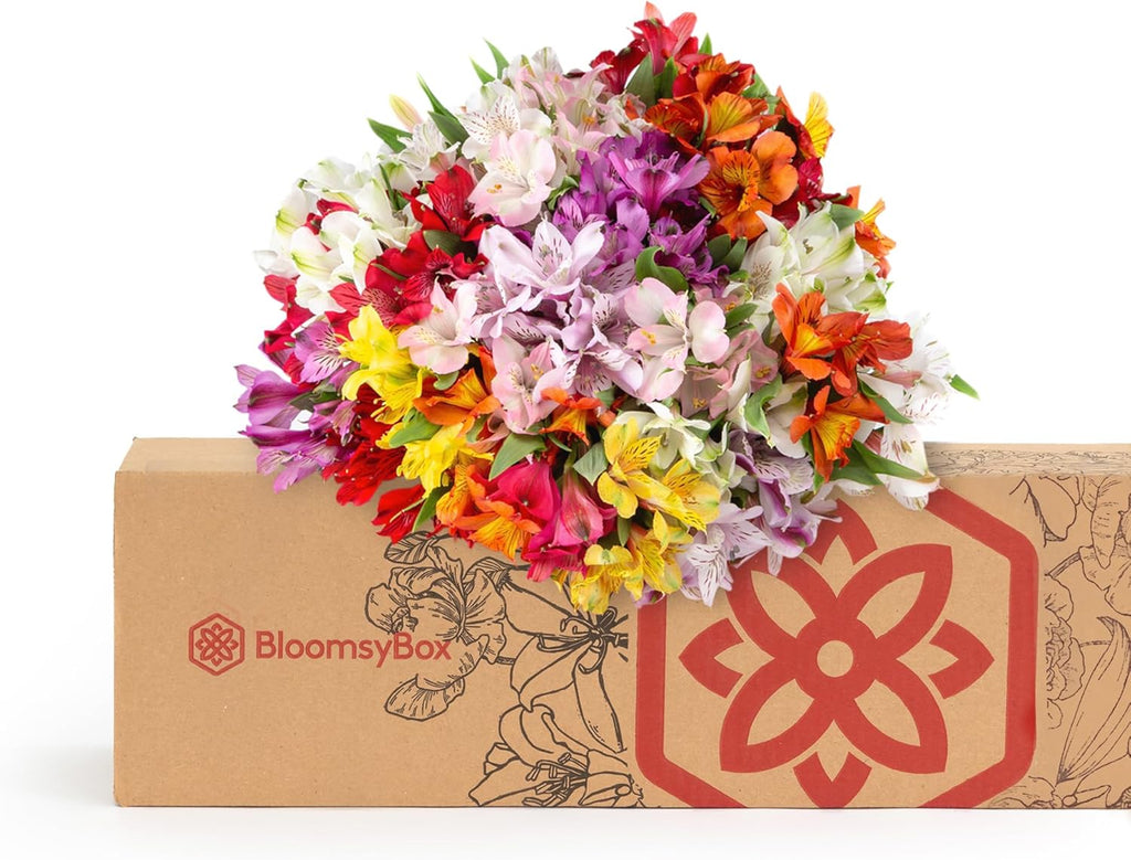 24 Multicolored Alstroemeria Bouquet, Hand-Tied Fresh Cut Flowers Y887308