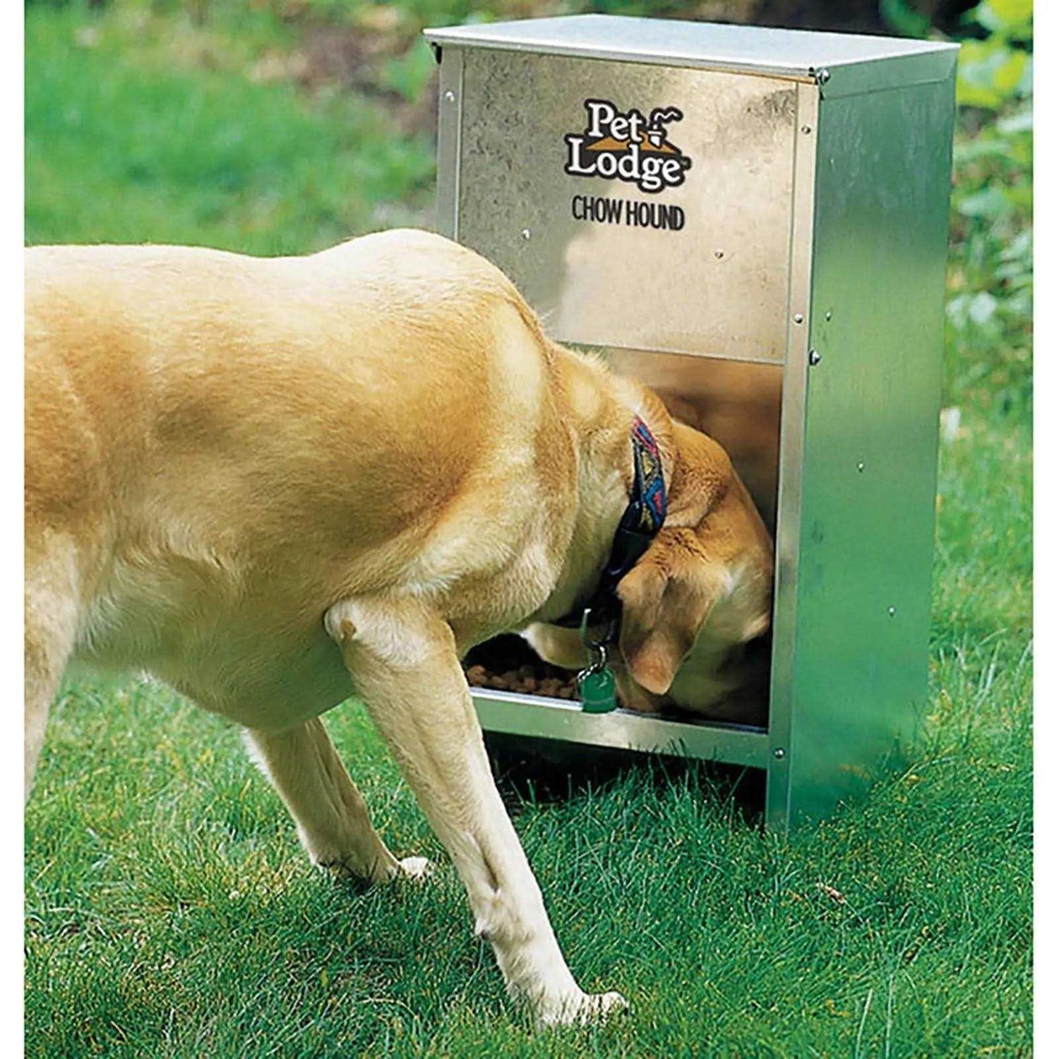 Pet Lodge CH12 Chow Hound 12 Pound Dog Feeder H1346