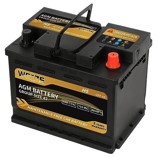 Weize Platinum AGM Battery Group 24F, 710CCA W12978