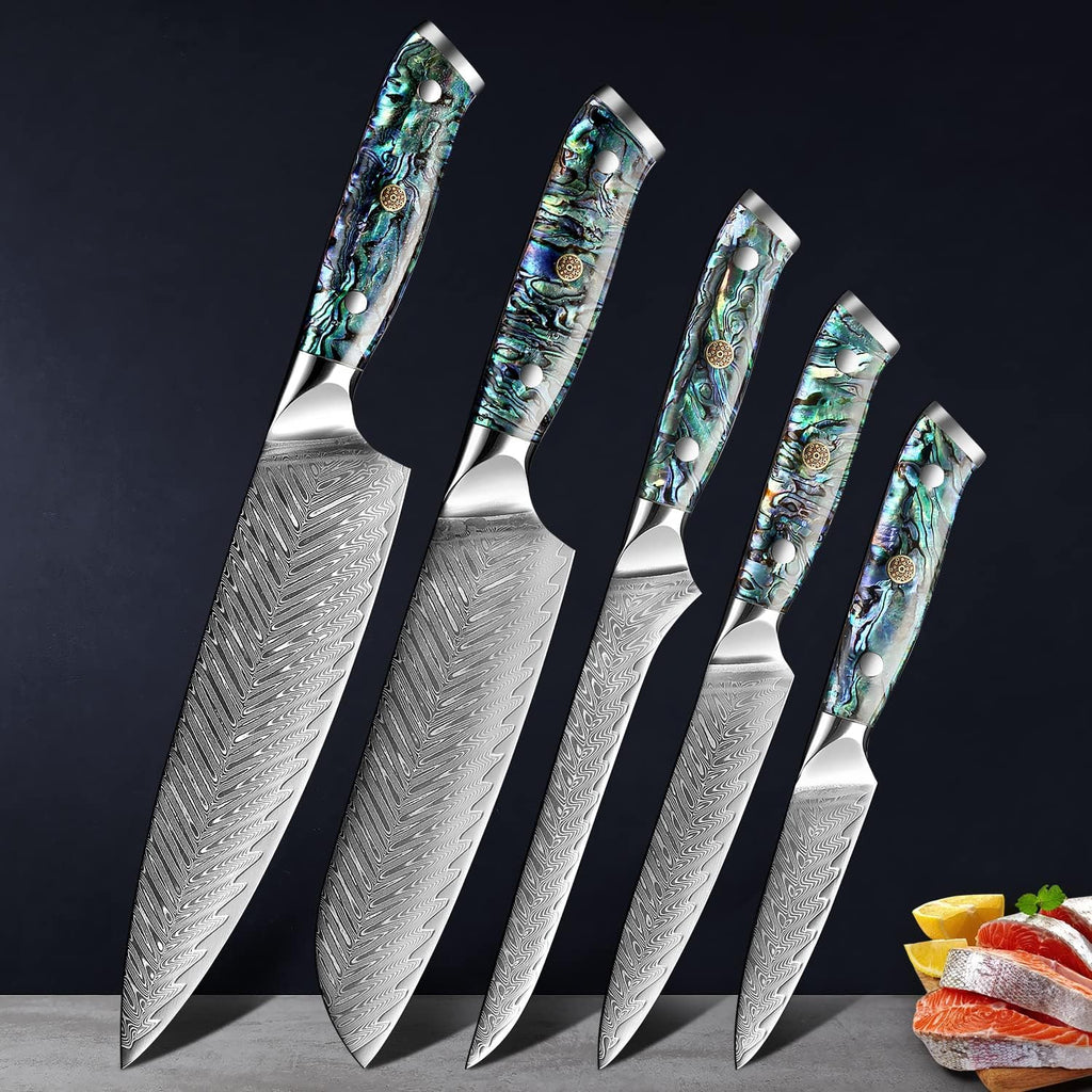 SENKEN 5-Piece Damascus Steel Knife Set with Walnut Magnetic Knife Block H191