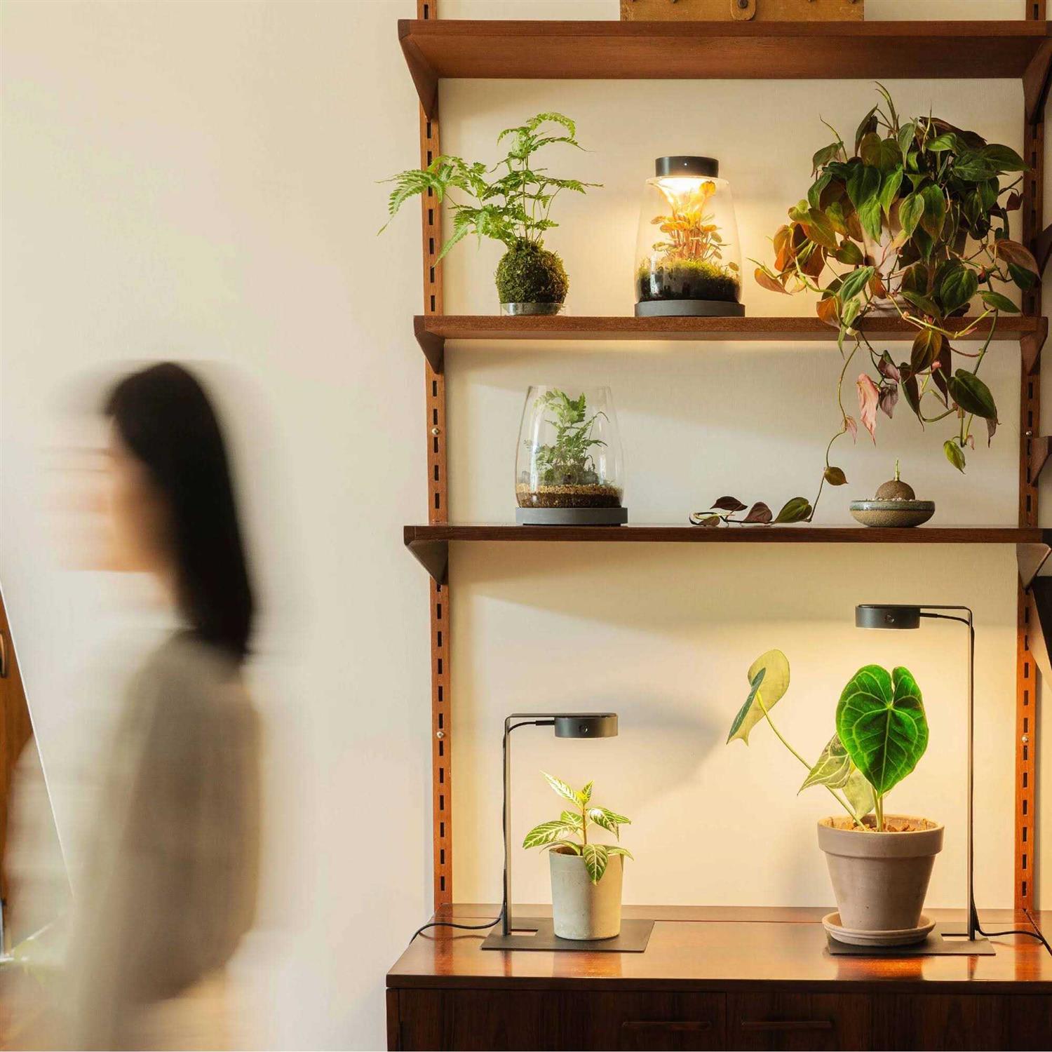 ONF Mist O Shelf Magnetic LED Light for Indoor Plant Growth W249010