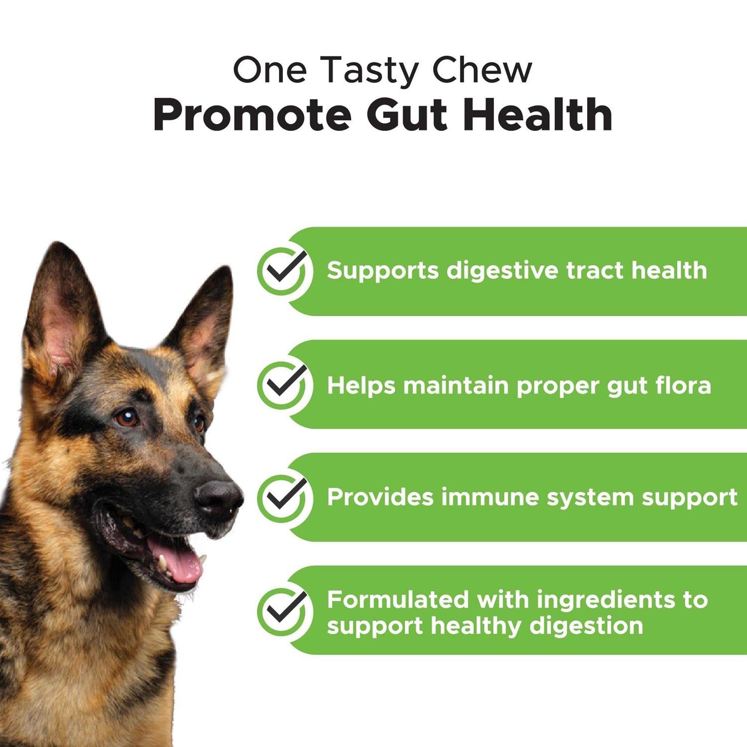 Pet Honesty Digestive Probiotics Soft Chews O37577