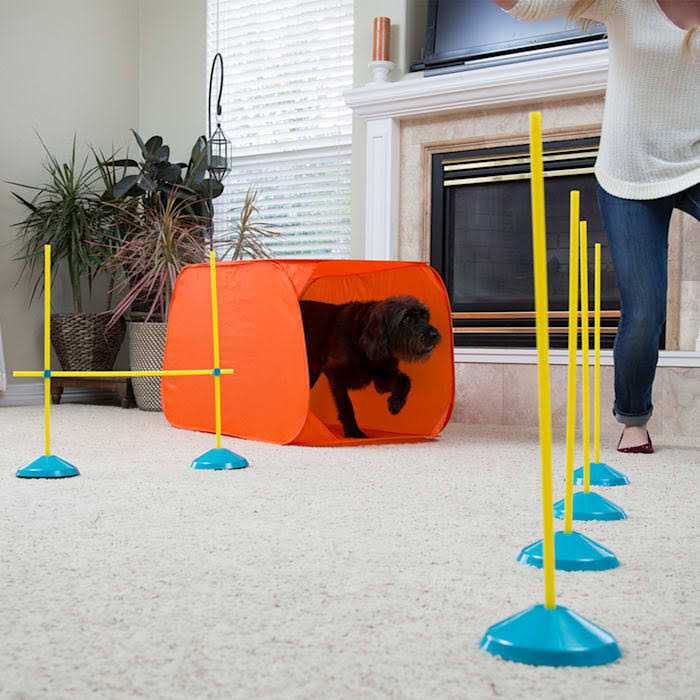 Outward Hound Indoor Dog Agility Kit Y297002
