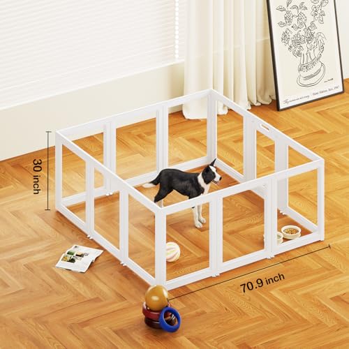Transparent Dog Playpen with Wall Anchor, 23.6" H, 10 Panels, White N19944