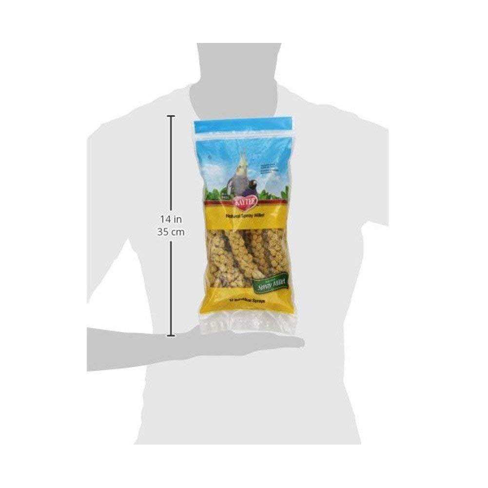 Kaytee Spray Millet for Pet Birds M77412