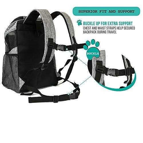 PetAmi Premium Pet Carrier Backpack for Small Cats and Dogs O594167
