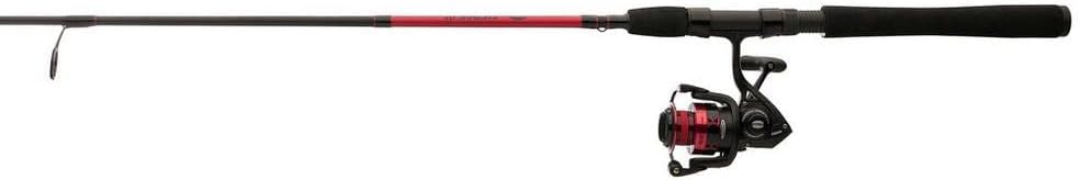 PENN Fierce IV Spinning Reel and Rod Combo R258725