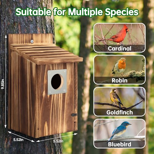 2 Pack Bird Houses for Outside with Metal Predator Guard, Carbonized Wooden Nesting Boxes G2616