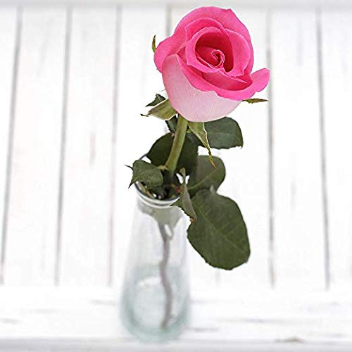 Fresh Cut 24 Red Roses Bouquet - 20" Long Stems R443599