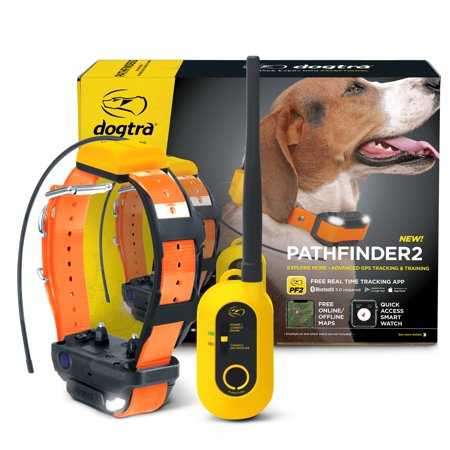 Dogtra Pathfinder2 GPS &amp; Dog Training Collar System, Black - Pet Supplies online store
