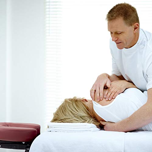 BestMassage Portable Massage Table 28 inch Folding Spa Bed with Bag X618857