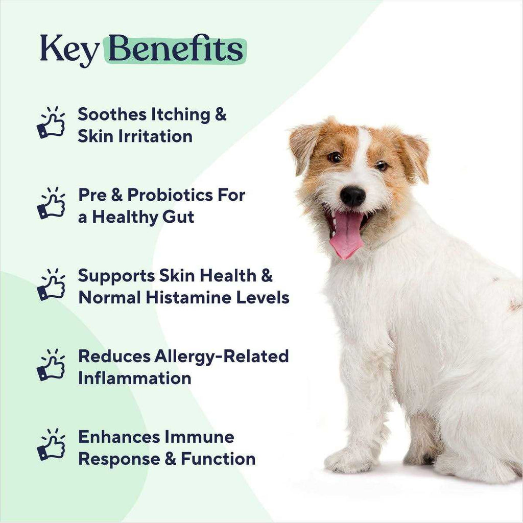 Pawfy Allergy & Immune Chews for Dogs A471837