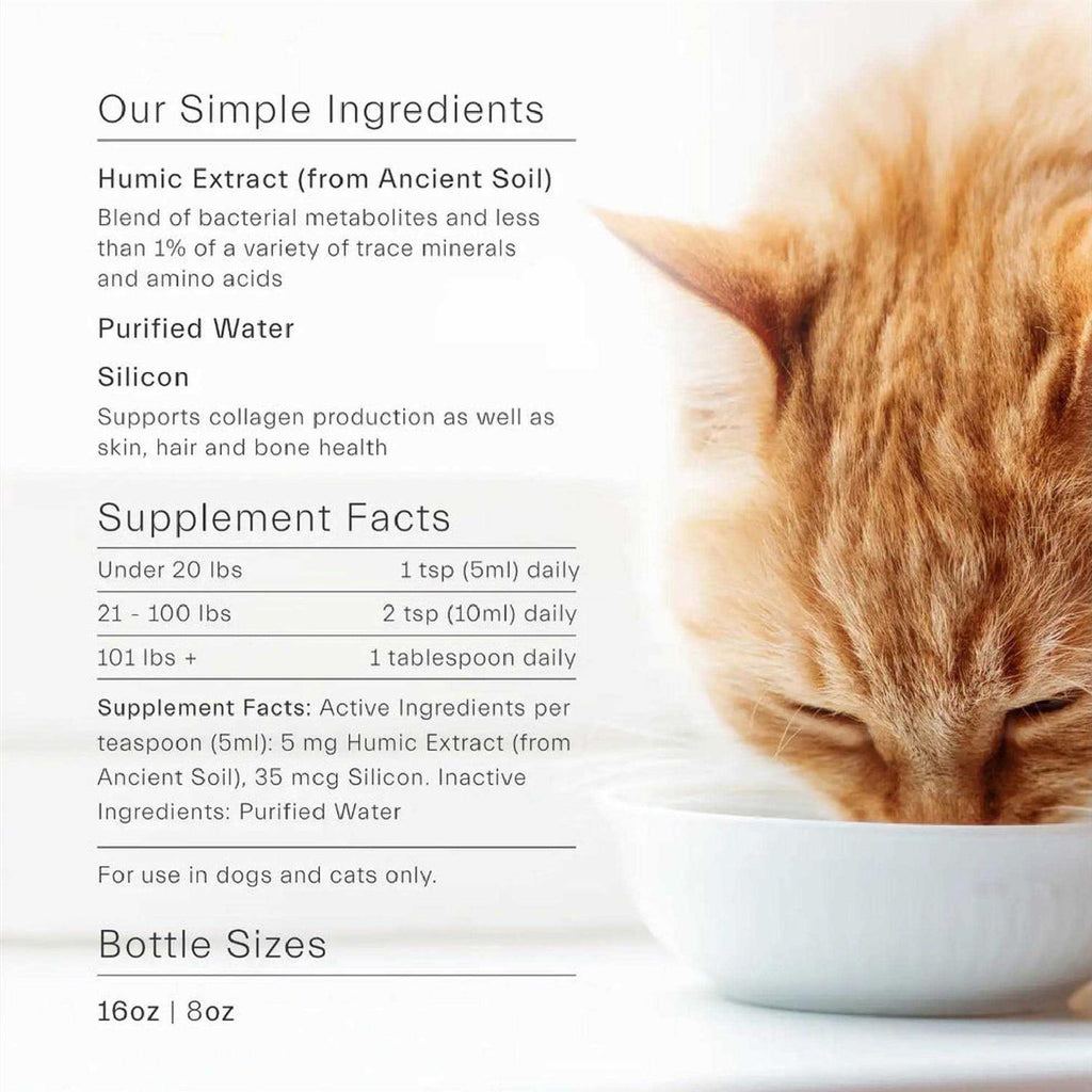 ION Gut Support For Pets Z133829