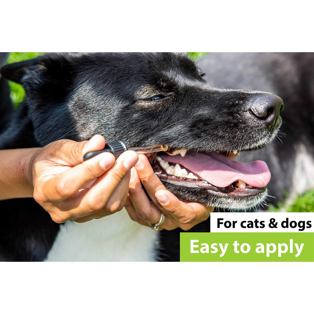 Dr. Judy Morgan's Dental Health Formula for Dogs & Cats N165451