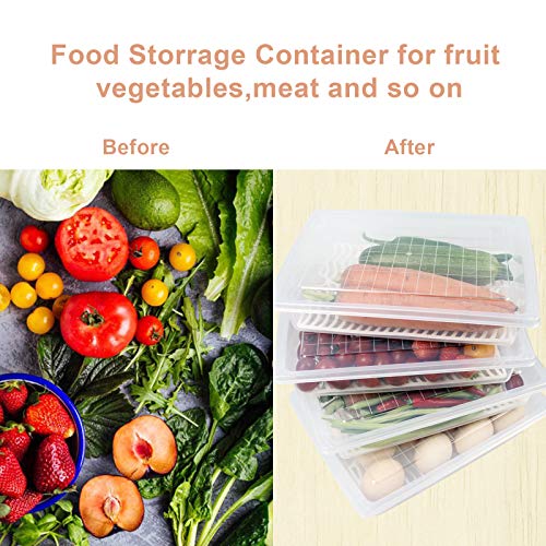 Plastic Food Storage Containers with Removable Drain Plate and Lid, Stackable, Large (4-Pack) X4503