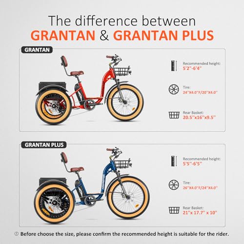 ADDMOTOR Grandtan II Electric Trike for Adults, 750W, 48V 20Ah X1426