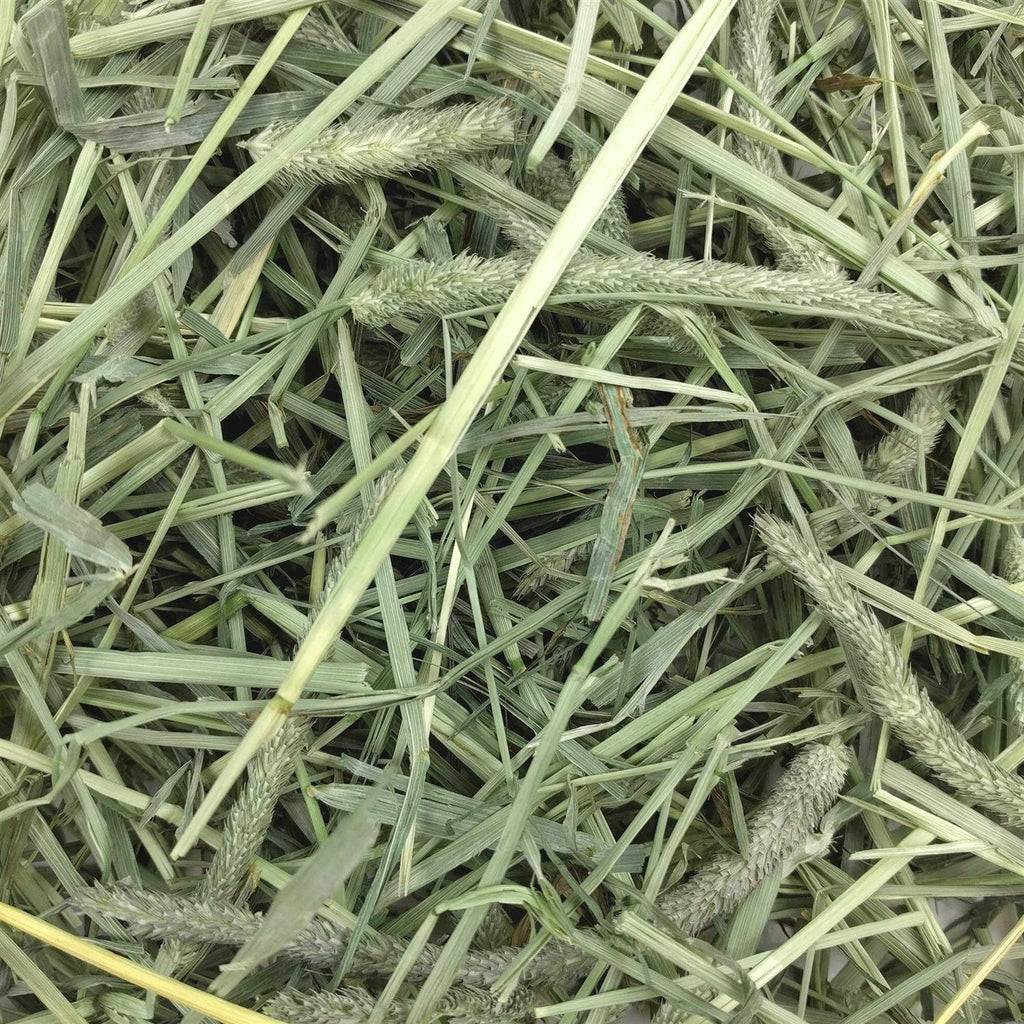 Oxbow Hay Western Timothy Pet Supplies H833353