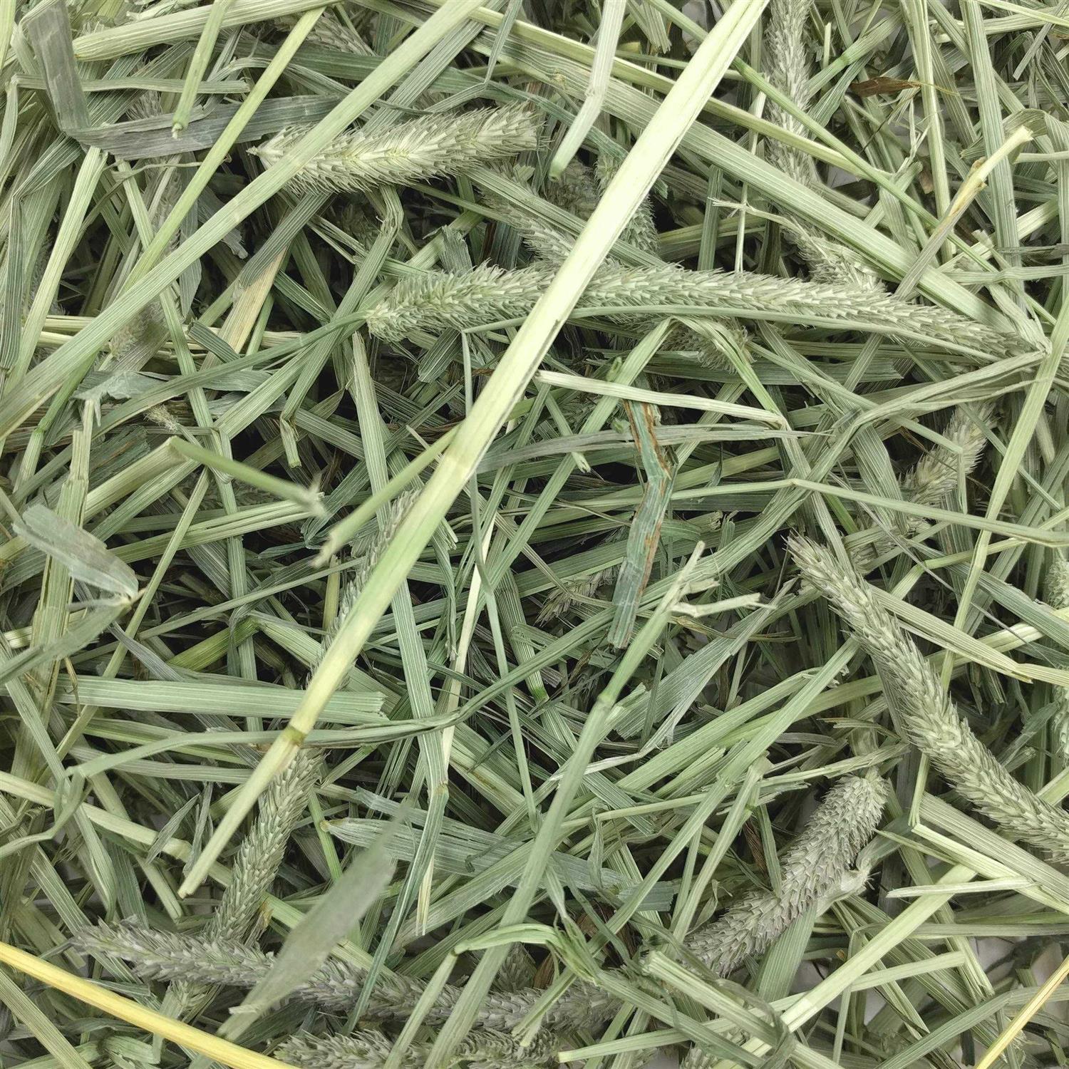 Oxbow Hay Western Timothy Pet Supplies H833353