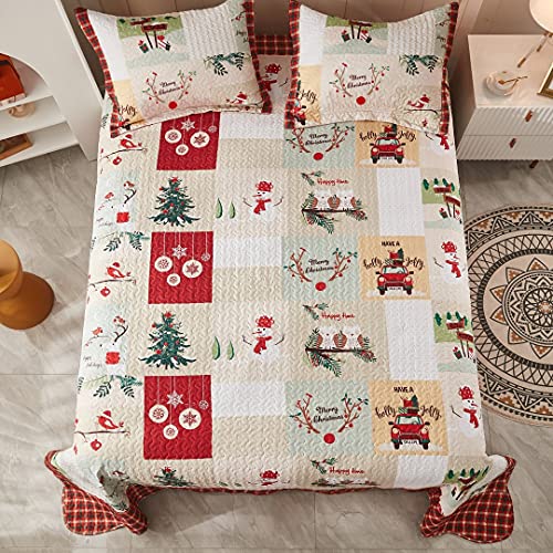 MarCielo Christmas Quilt Set Bedspread, White, Queen N87341