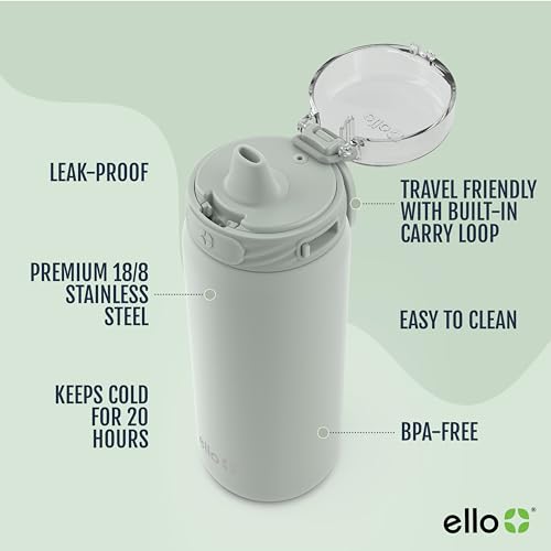 Ello Cooper 32oz Stainless Steel Water Bottle with Straw and Handle Q4598