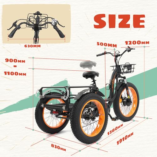 ECOTRIC Electric Tricycle for Adults, Fat Tire 750W with Removable Battery W539