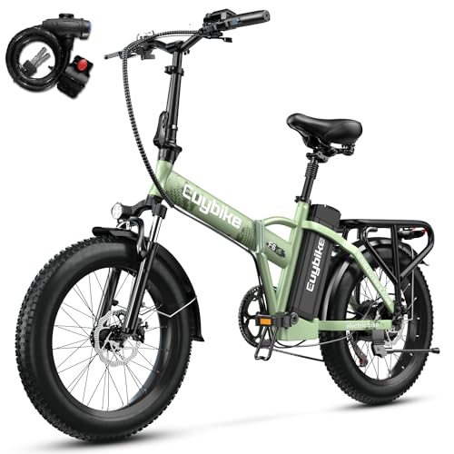 1000W Folding Electric Bike 48V 20AH Removable Battery 20" Fat Tire for Adults S359635