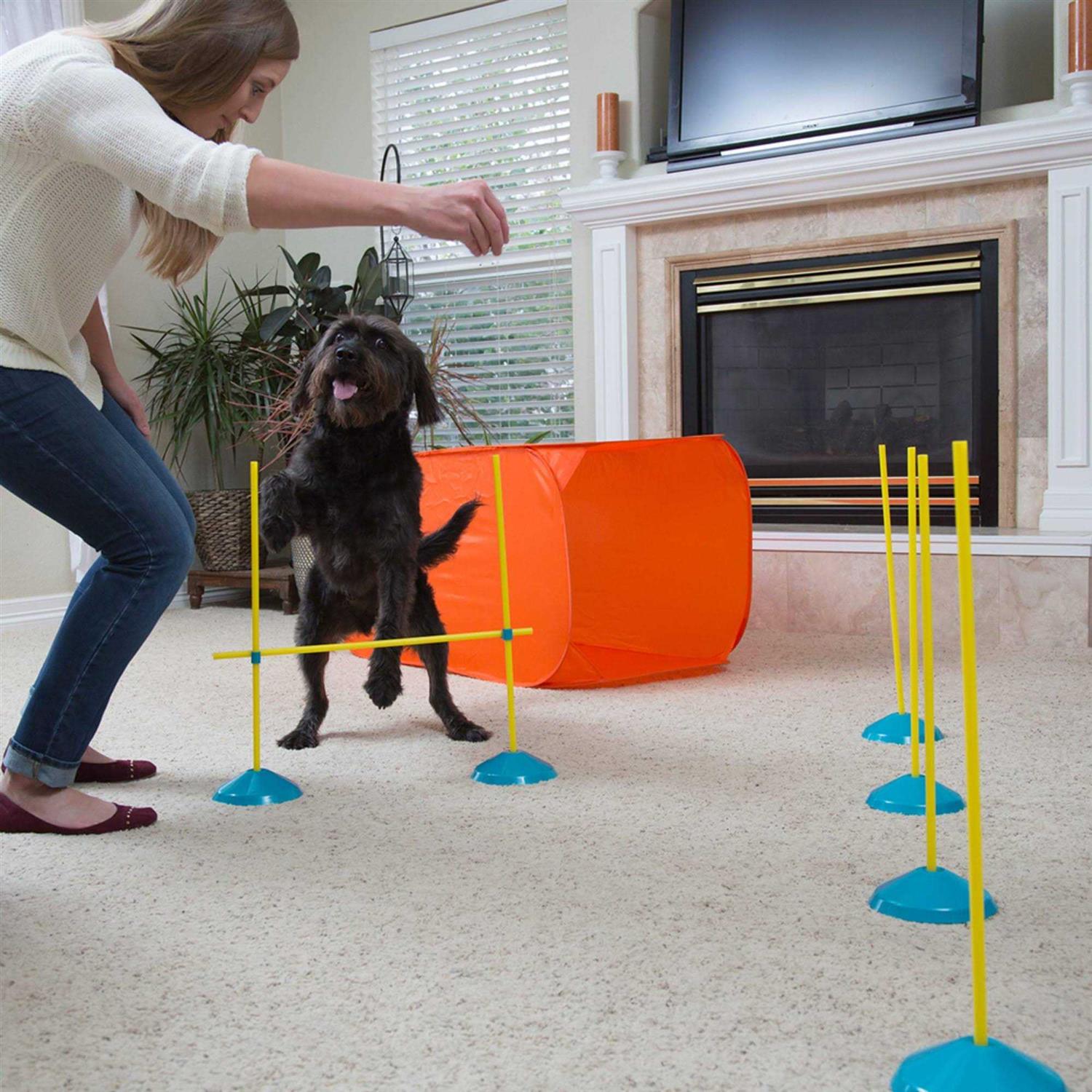 Outward Hound Indoor Dog Agility Kit Y297002