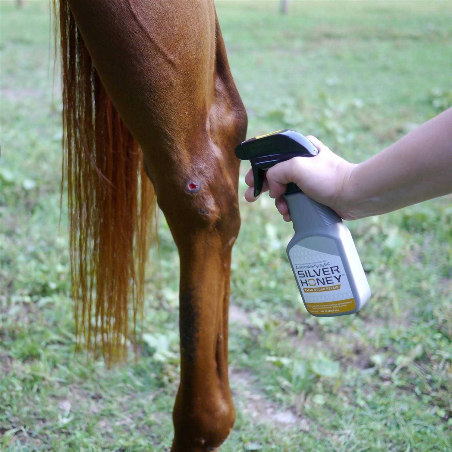 Silver Honey Hot Spot Wound Care Spray Gel for Pets J766