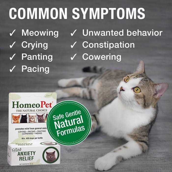 HomeoPet Feline Anxiety Relief W686036