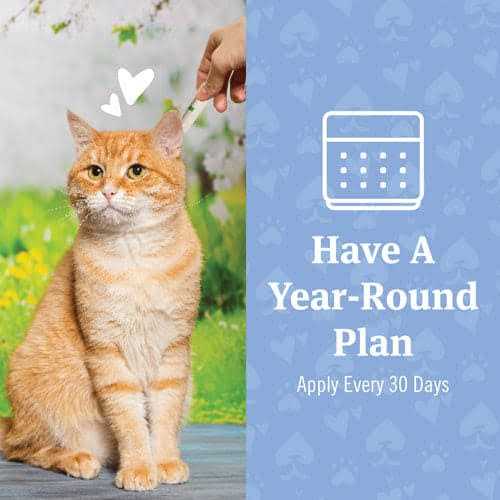 PetArmor Plus Flea and Tick Treatment for Cats C6680