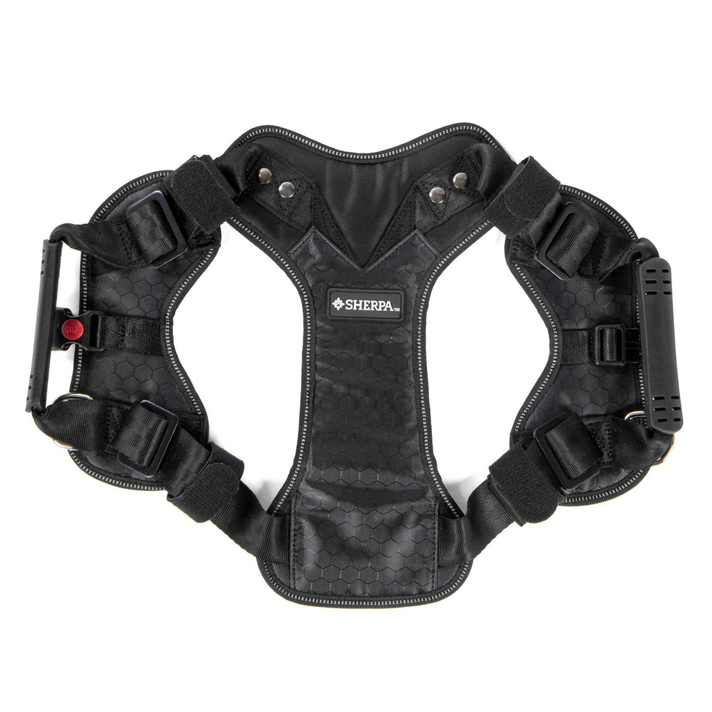 Sherpa Crash Tested Seatbelt Safety Harness B192834