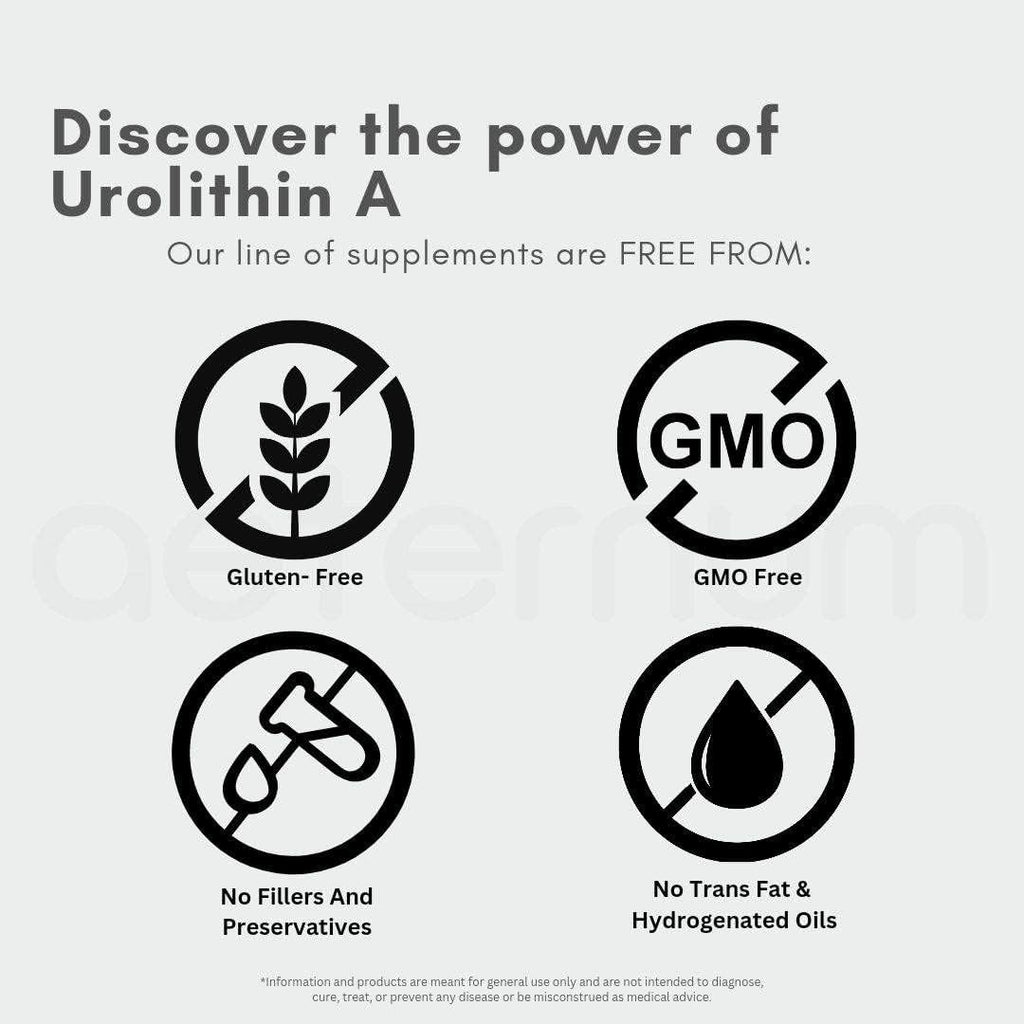 Urolithin A 500mg Capsules, 60 Count Q8192