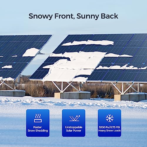 Renogy N-Type 16BB 250W Bifacial Solar Panel, 12V Q862161