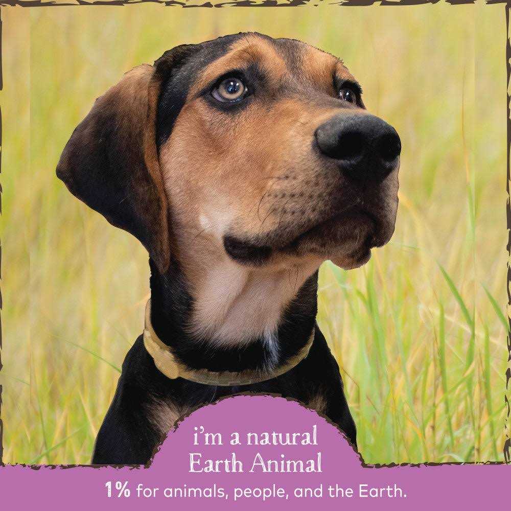 Earth Animal Flea & Tick Daily Herbal Internal Powder N944