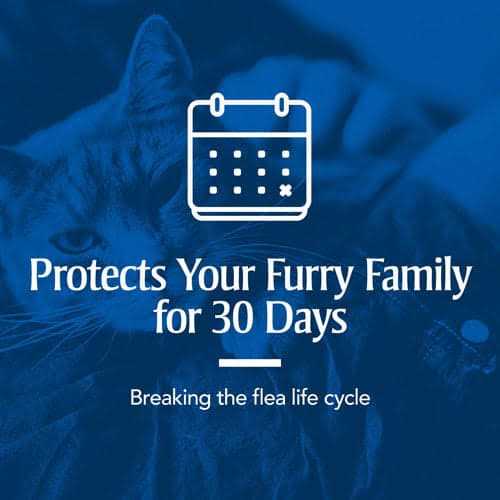 PetArmor Flea & Tick Spot Treatment for Cats O857525