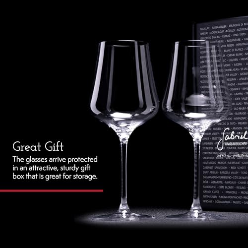 Gabriel-Glas StandArt Crystal Wine Glasses, Set of 2 with Gift Box, 16 oz, Dishwasher Safe F691