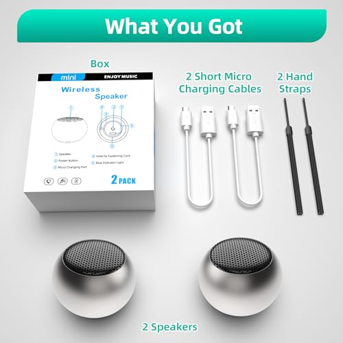 Portable Mini Bluetooth Speaker with Built-in Microphone, Black S746468