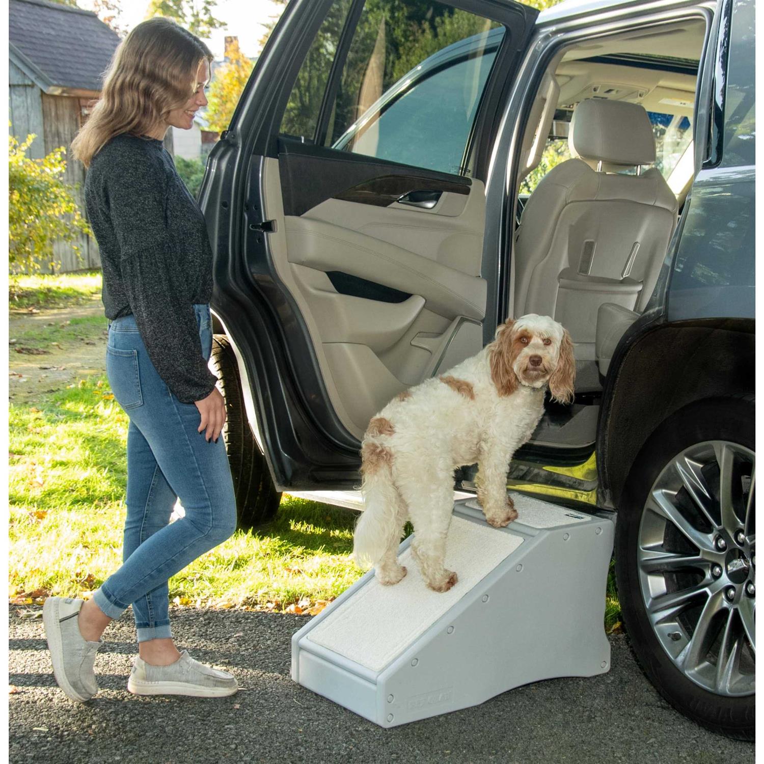 Pet Gear Step / Ramp Combination with Supertrax H677