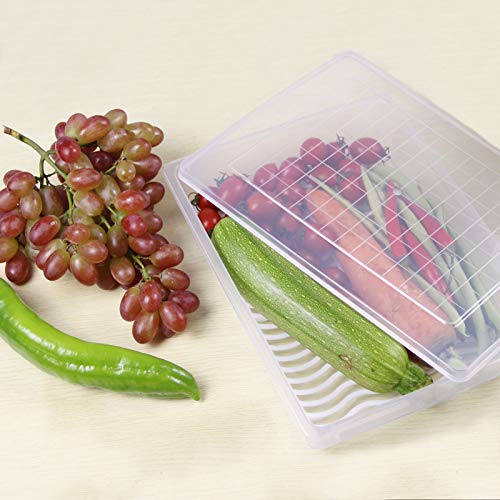 Plastic Food Storage Containers with Removable Drain Plate and Lid, Stackable, Large (4-Pack) X4503