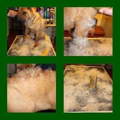 SleekEZ Grooming Tool for Pets S625