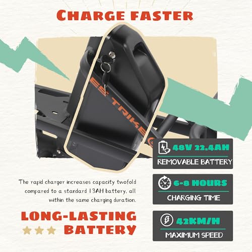 ECOTRIC Electric Tricycle for Adults, Fat Tire 750W with Removable Battery W539