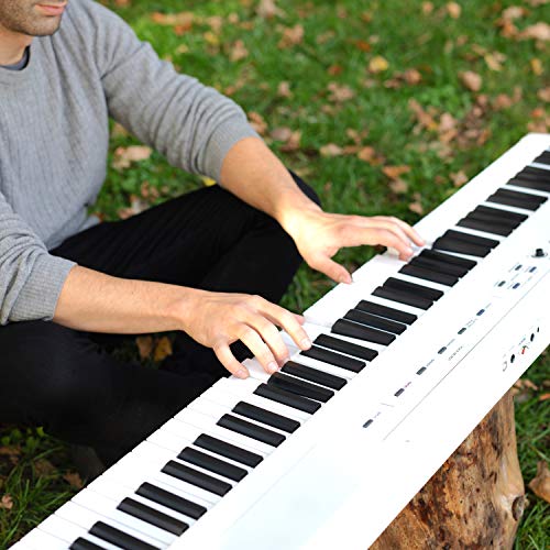 Alesis Recital 88 Key Digital Piano Keyboard with Semi Weighted Keys Q3138