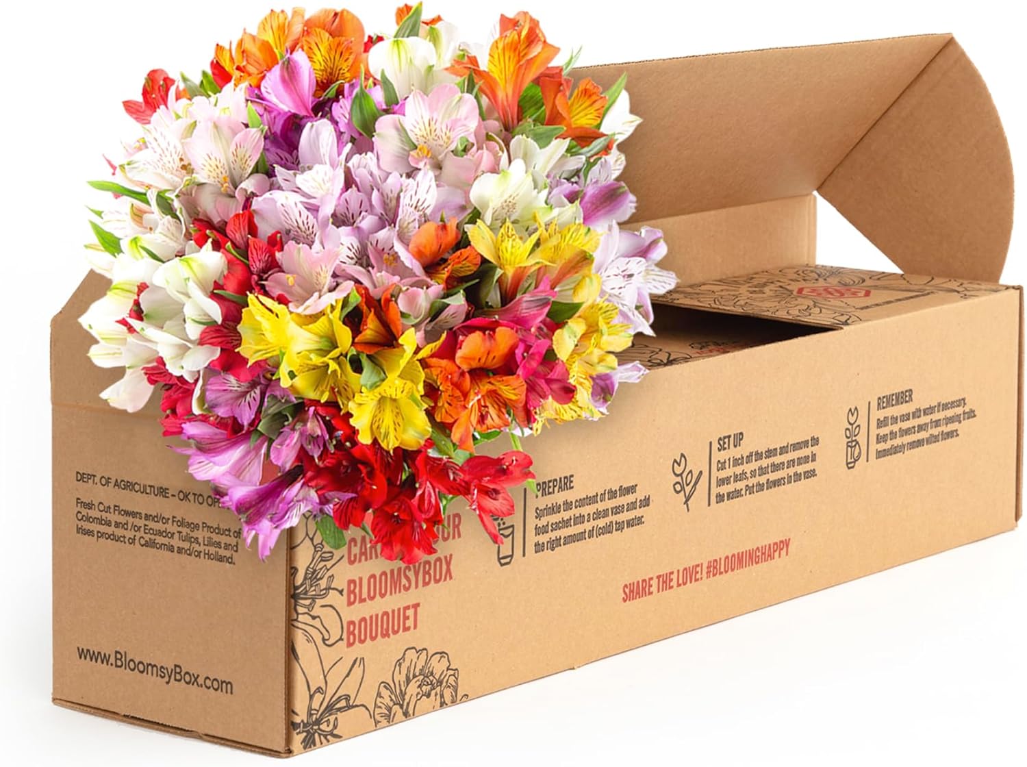 24 Multicolored Alstroemeria Bouquet, Hand-Tied Fresh Cut Flowers Y887308