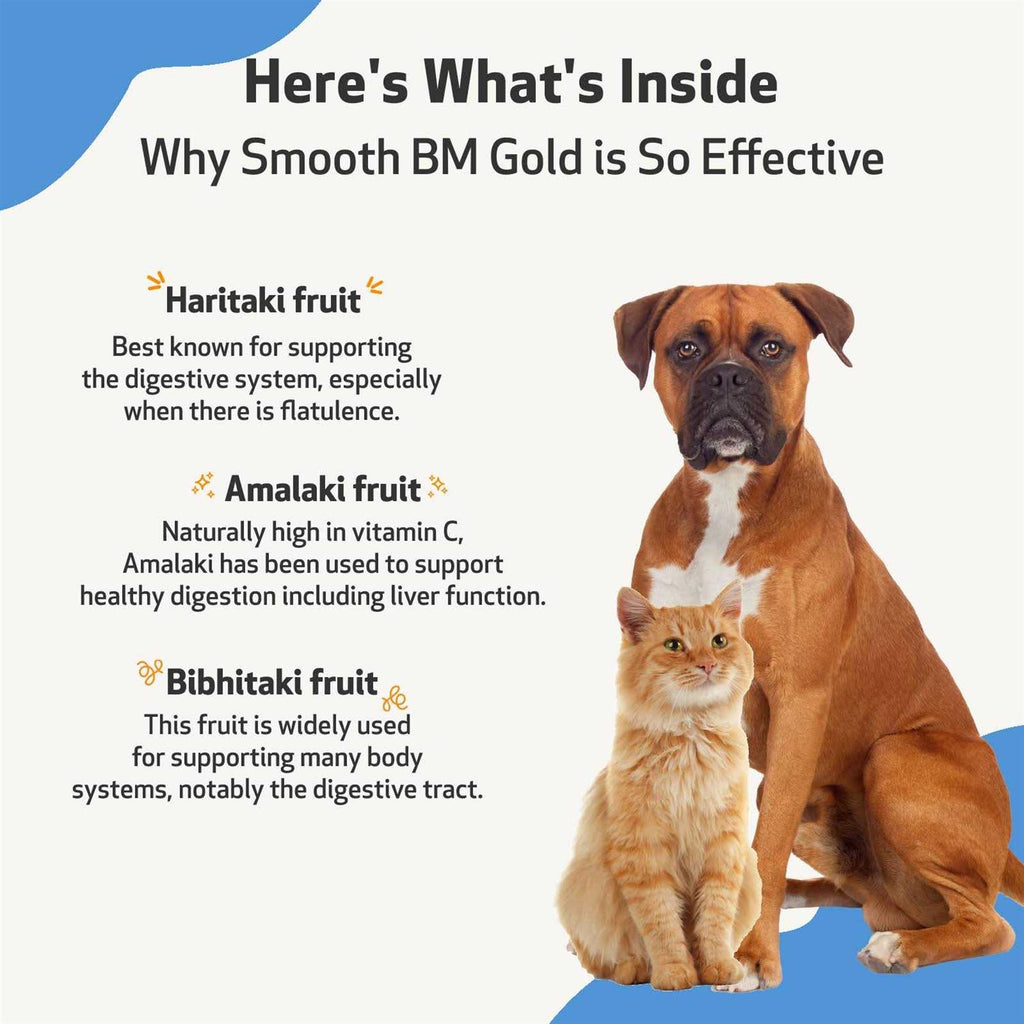 Pet Wellbeing Smooth BM Gold for Pets S244349