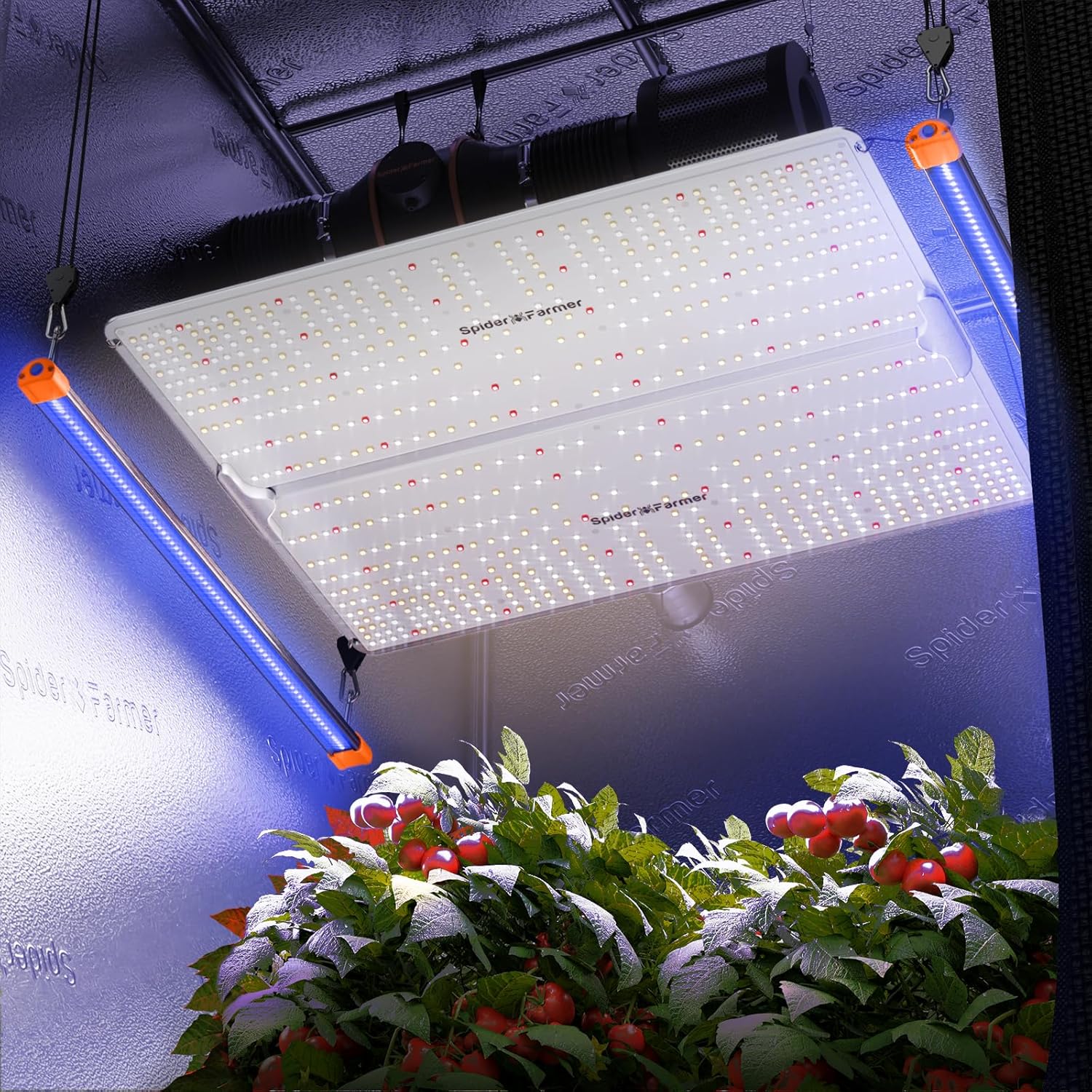 Spider Farmer SF1000D LED Grow Light with Samsung LM301B Diodes and SUPP-UV30 Supplemental Light J275