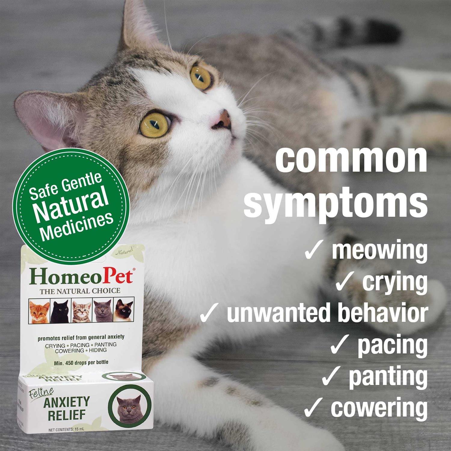 HomeoPet Feline Anxiety Relief W686036
