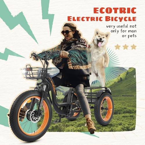 ECOTRIC Electric Tricycle for Adults, Fat Tire 750W with Removable Battery W539