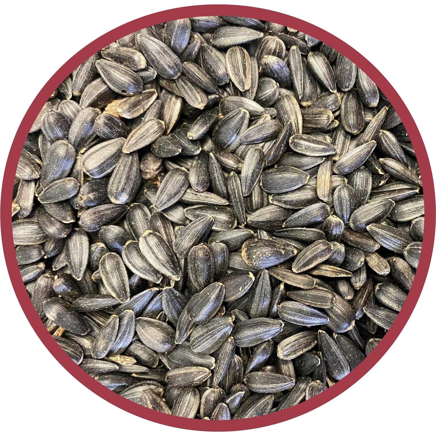 Pennington Select Black Oil Sunflower Seed Wild Bird Feed F6504