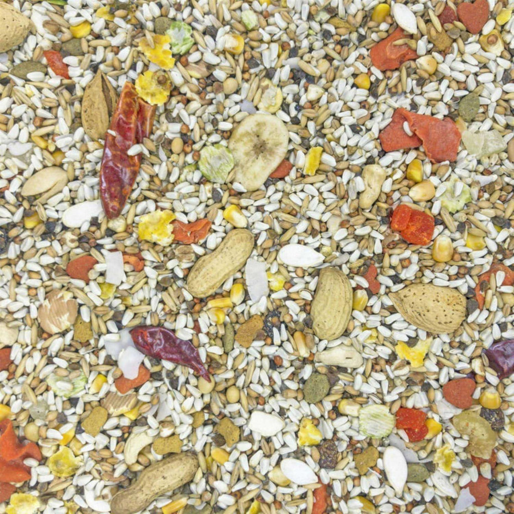 Higgins Safflower Gold Parrot Food P844902