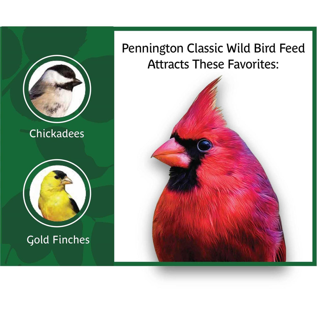 Pennington Classic Wild Bird Feed and Seed F176314